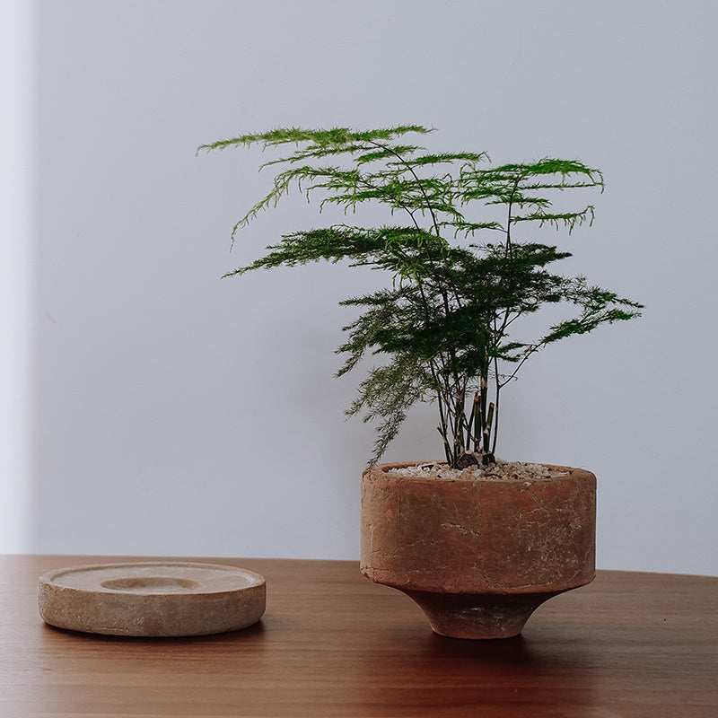 Handmade Rough Ceramic Vintage Planter